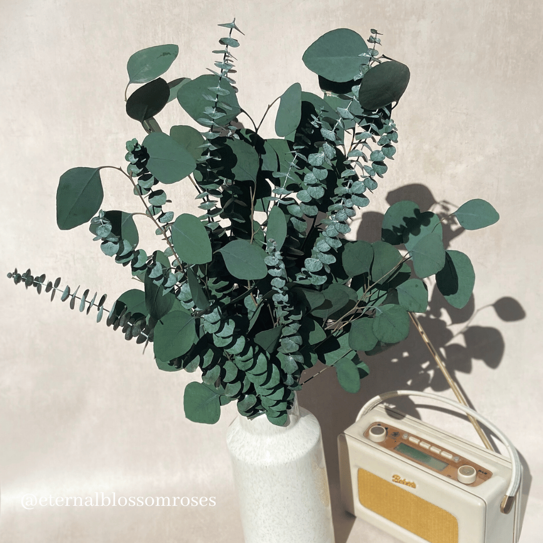 Preserved Eucalyptus Bunch - Year Lasting Real Foliage