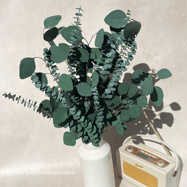 Preserved Eucalyptus Bunch - Year Lasting Real Foliage