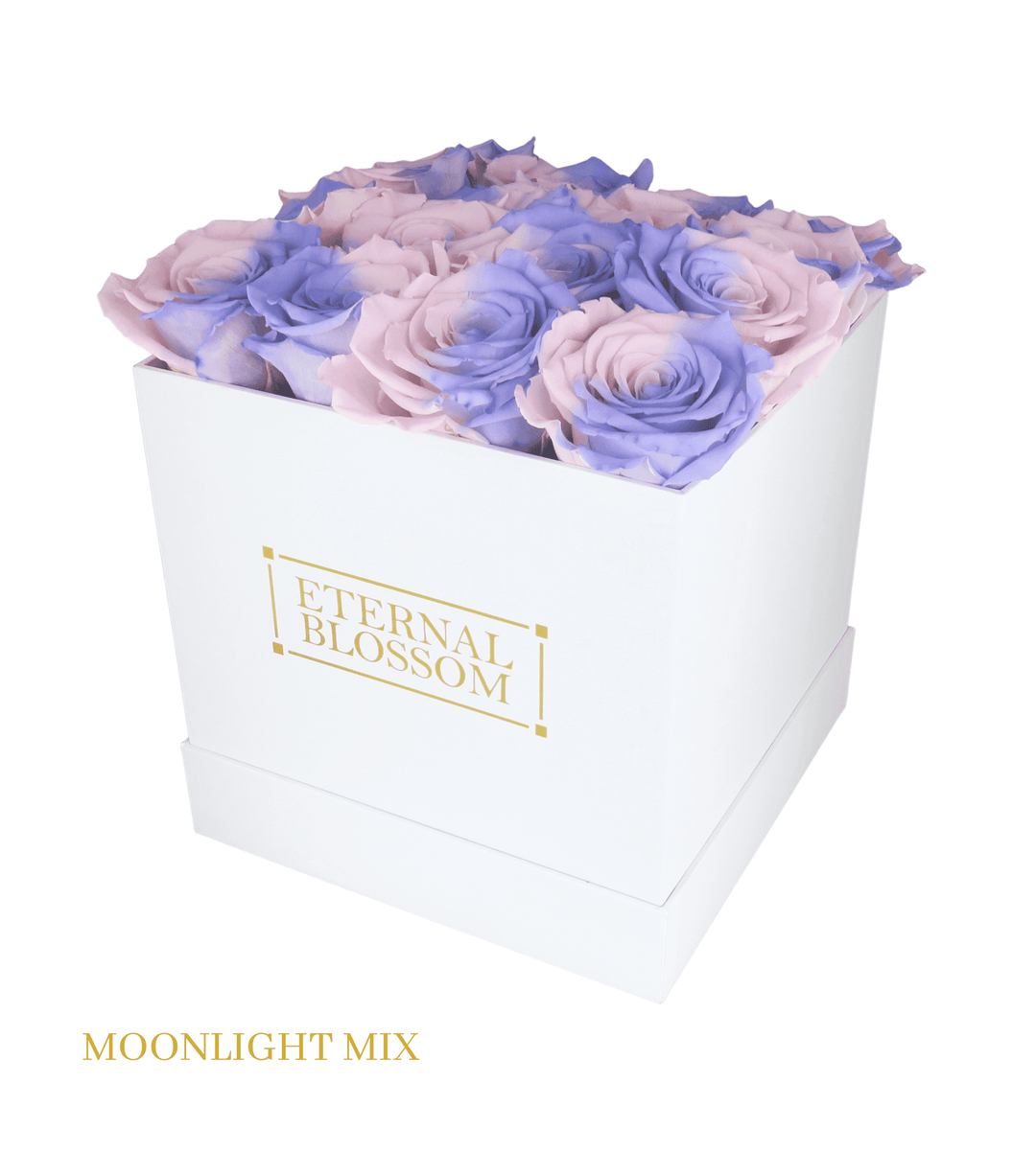 16 Piece Blossom Box - White Box - All Colours of Year Lasting Infinity Roses - Eternal Blossom