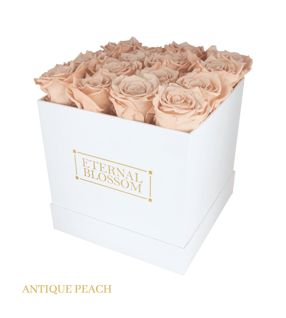 16 Piece Blossom Box - White Box - All Colours of Year Lasting Infinity Roses - Eternal Blossom