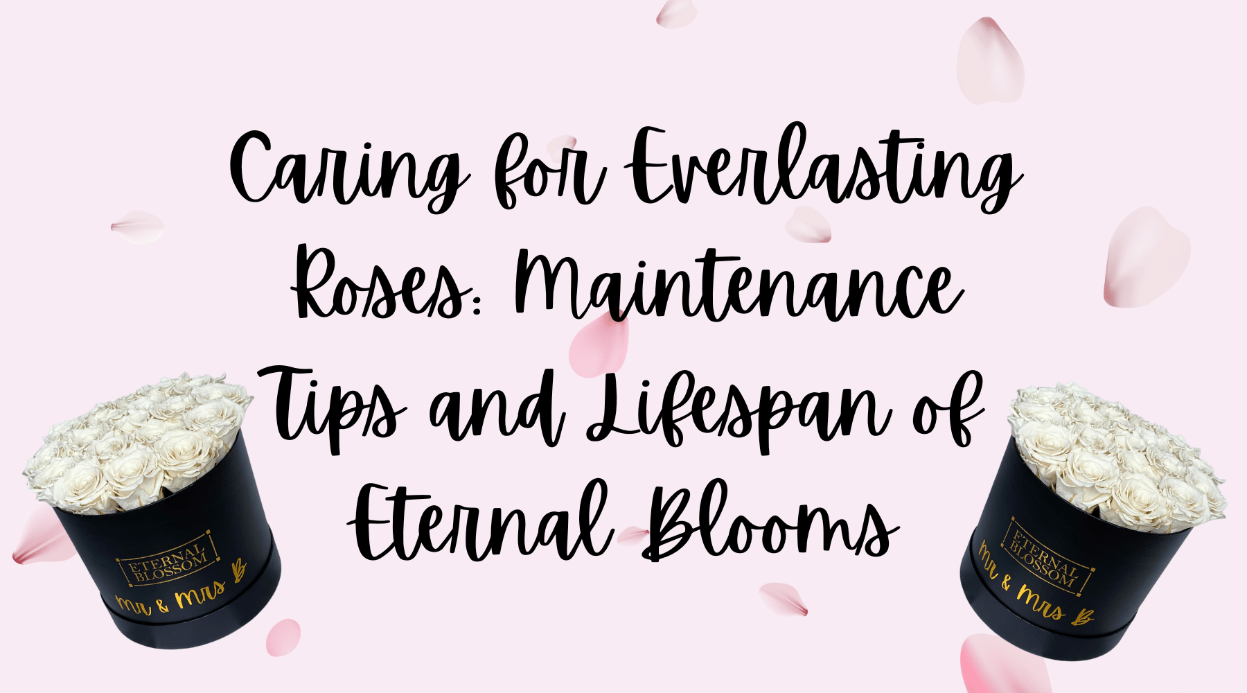 Caring for Everlasting Roses Maintenance Tips and Lifespan of Eternal