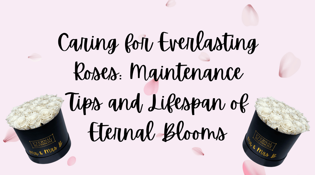 Caring for Everlasting Roses: Maintenance Tips and Lifespan of Eternal Blooms