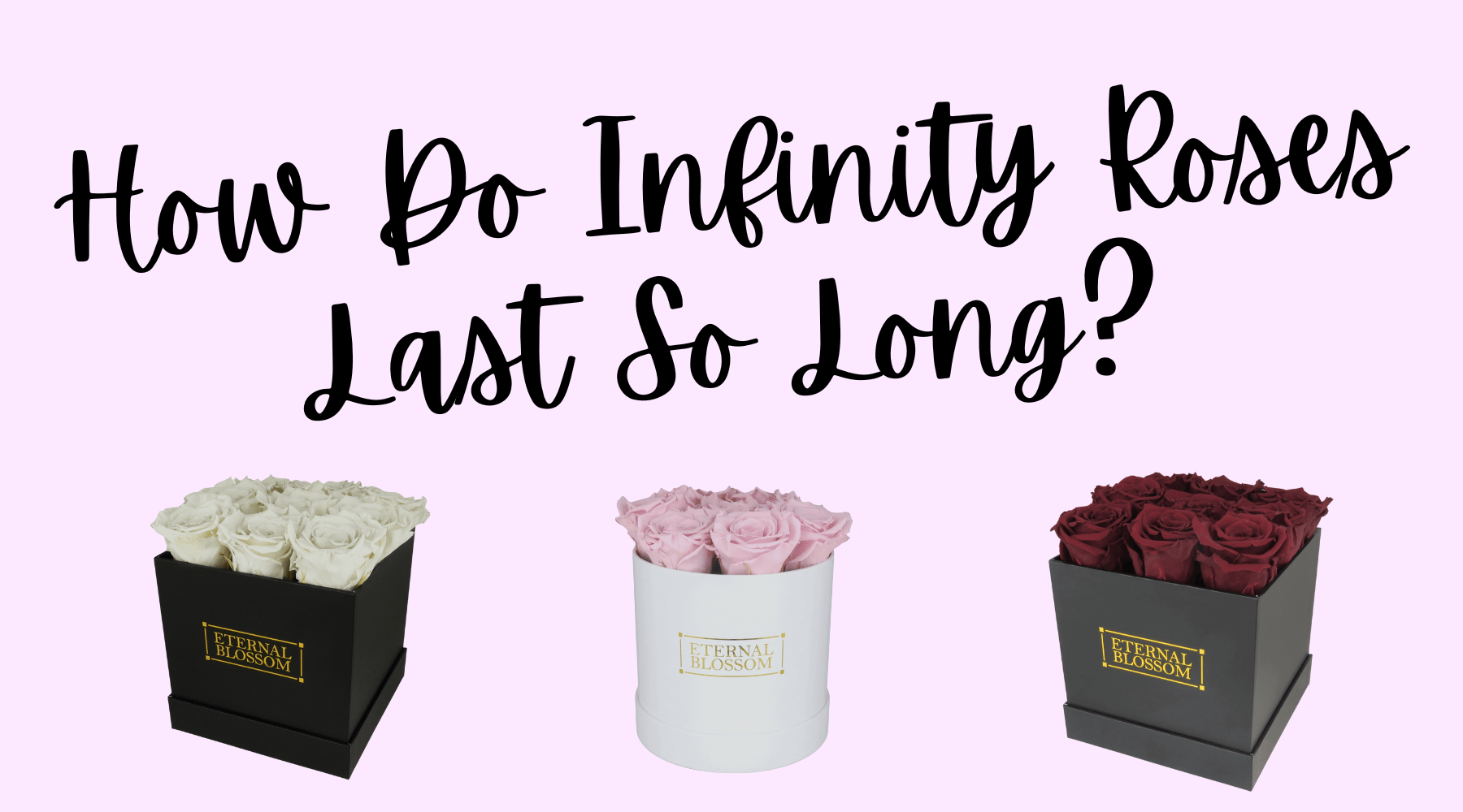 Infinity Rosed How Do Infinity Roses Last So Long? – Eternal Blossom