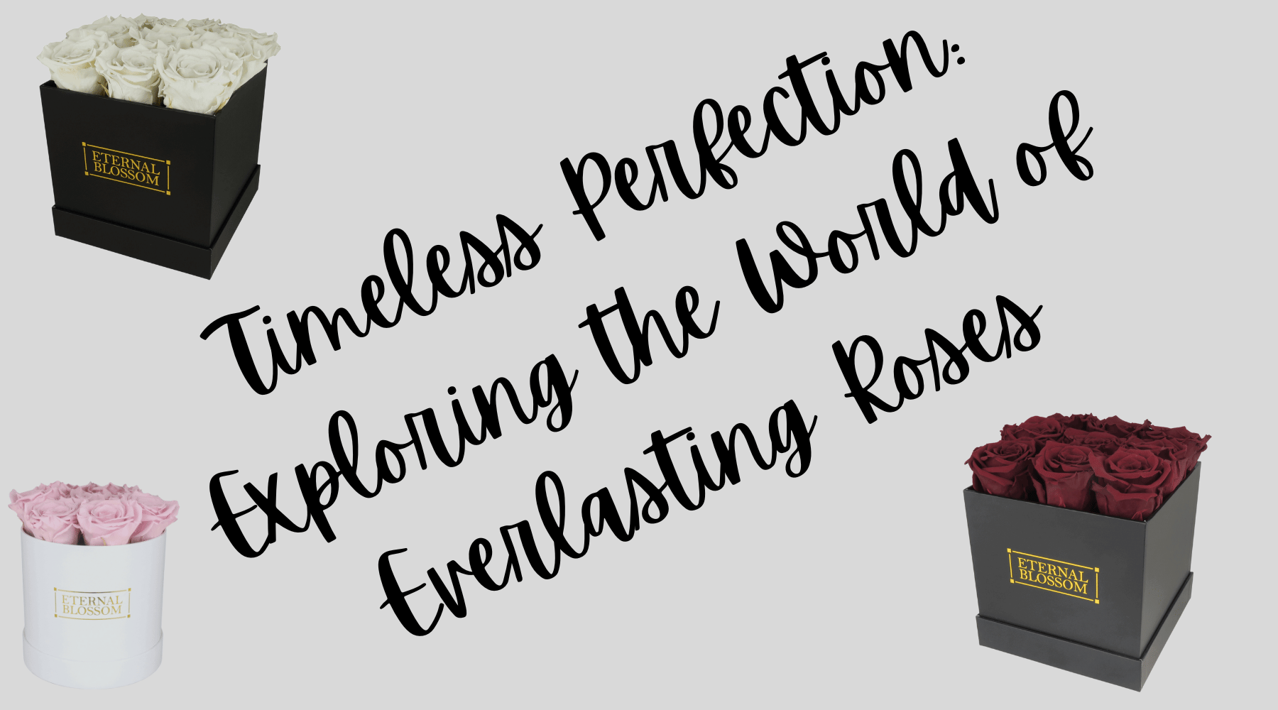 Timeless Perfection: Exploring the World of Everlasting Roses – Eternal ...