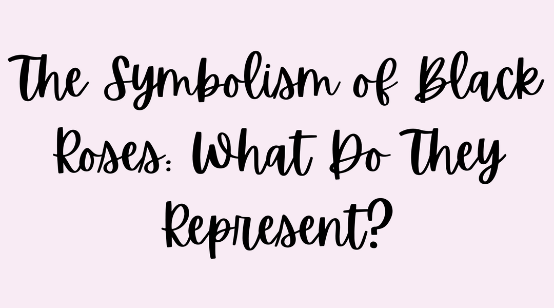 The Symbolism of Black Roses: What Do They Represent?
