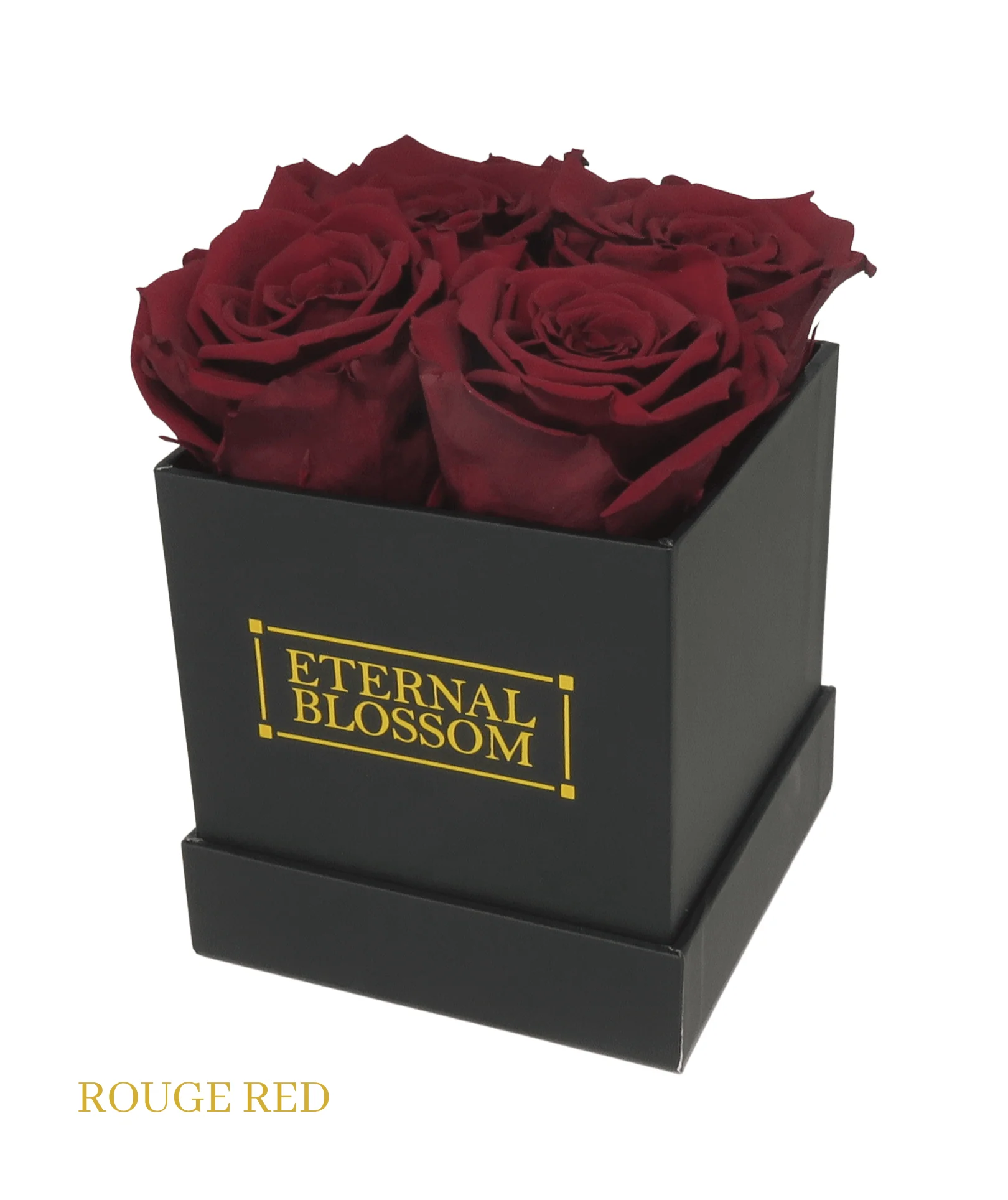 How to Make Infinity Roses Last 3+ Years | Rose Care Guide – Eternal ...