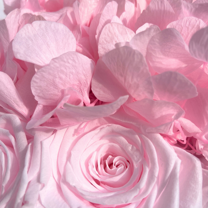 Medium Round Blossom Box - Infinity Roses & Hydrangeas