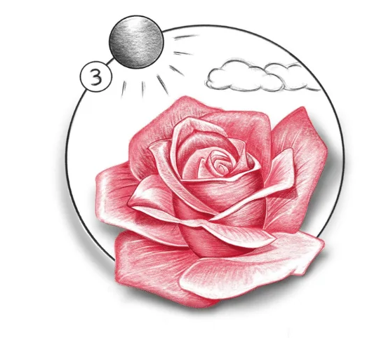 Eternal Blossom