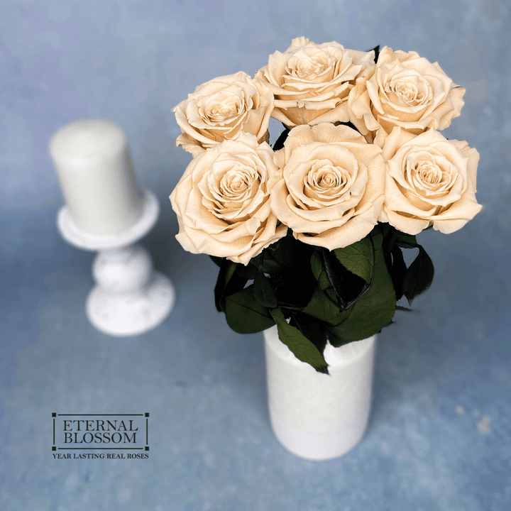 Half a Dozen Long Stem Roses - Year Lasting Infinity Roses