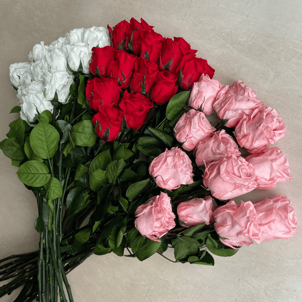 Extra Long Roses Individual Year Lasting Long Stem Rose – Eternal Blossom