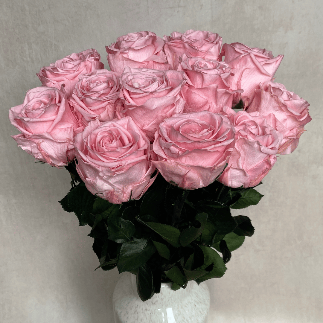 The Dozen - Extra Long Stem Year Lasting Infinity Roses