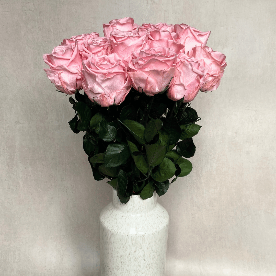 The Dozen - Extra Long Stem Year Lasting Infinity Roses