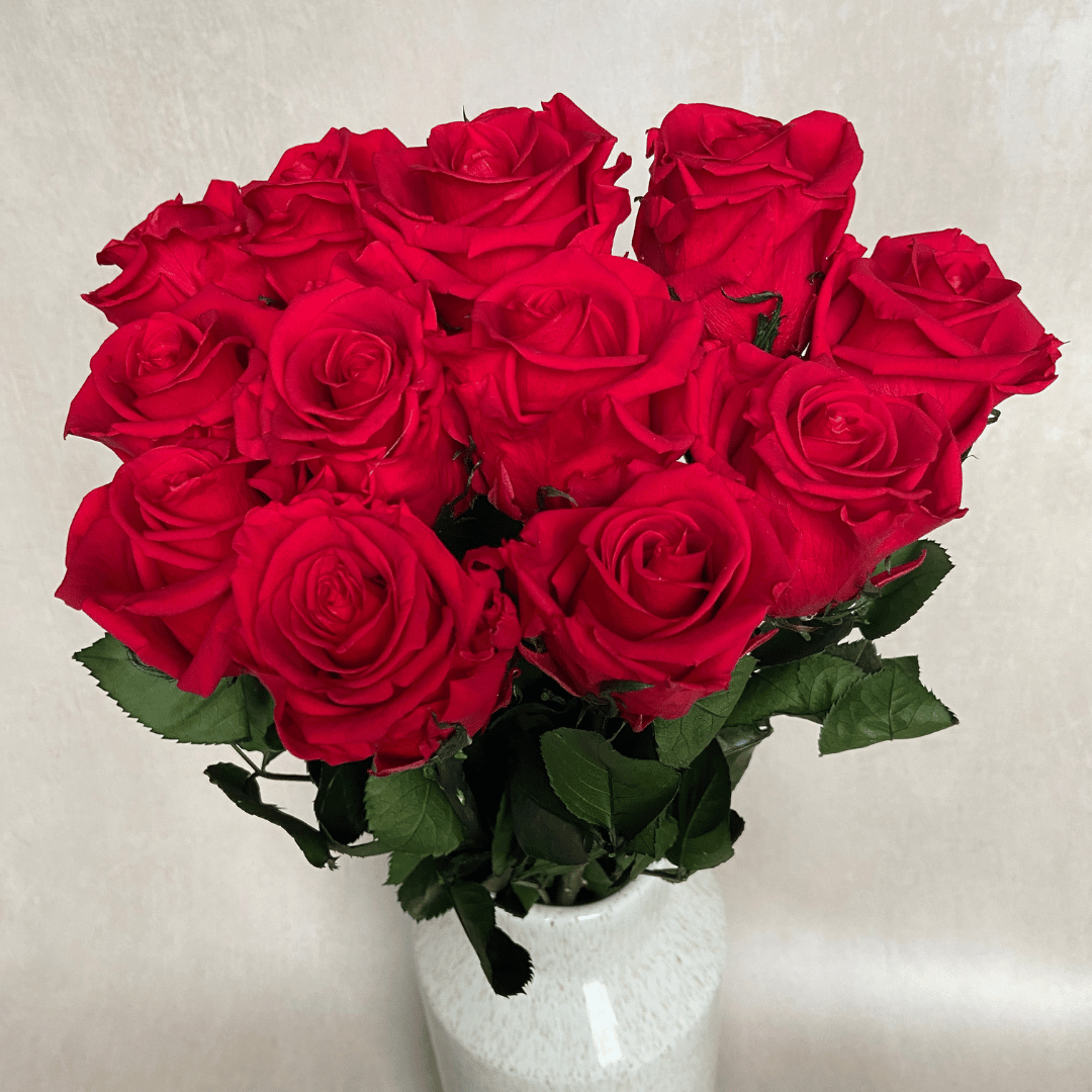 The Dozen - Extra Long Stem Year Lasting Infinity Roses