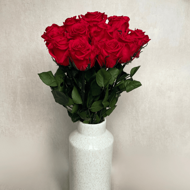 The Dozen - Extra Long Stem Year Lasting Infinity Roses