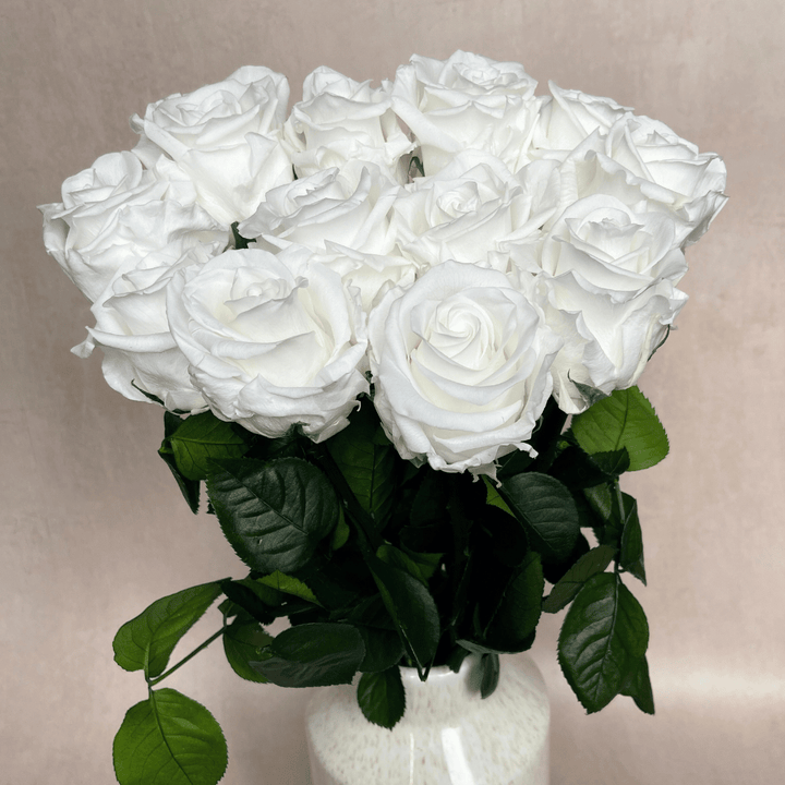 The Dozen - Extra Long Stem Year Lasting Infinity Roses