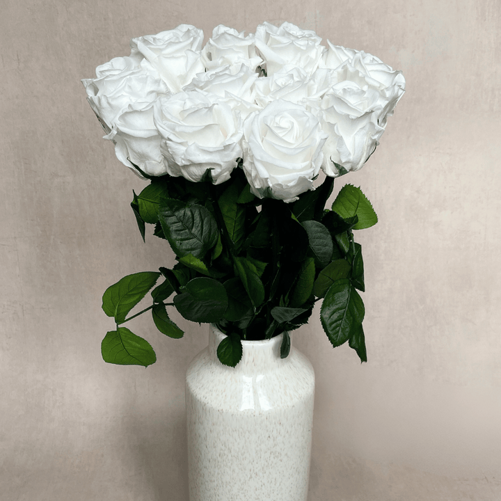 The Dozen - Extra Long Stem Year Lasting Infinity Roses