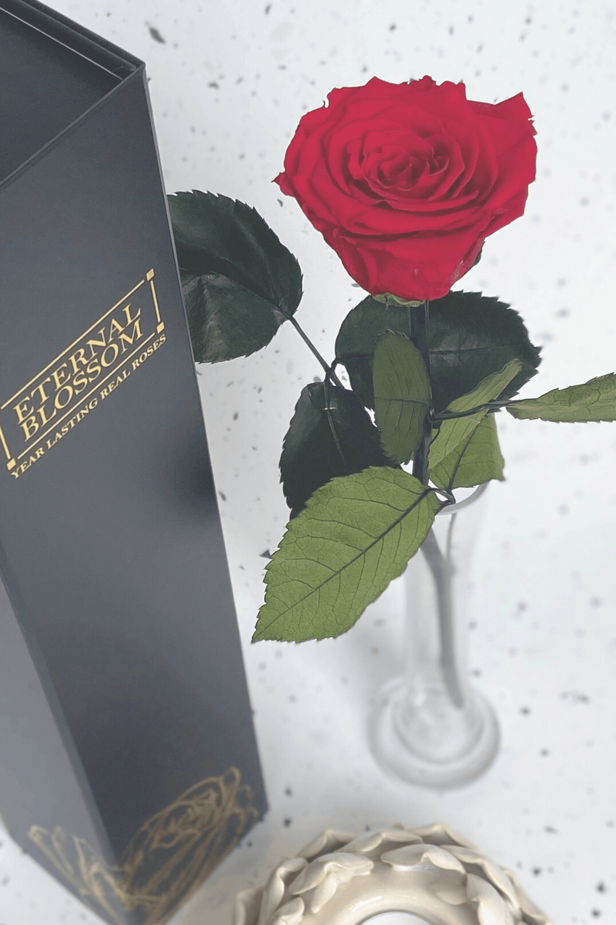 Eternas Roses Eternal Roses - Year Lasting Preserved Infinity Roses – Eternal Blossom