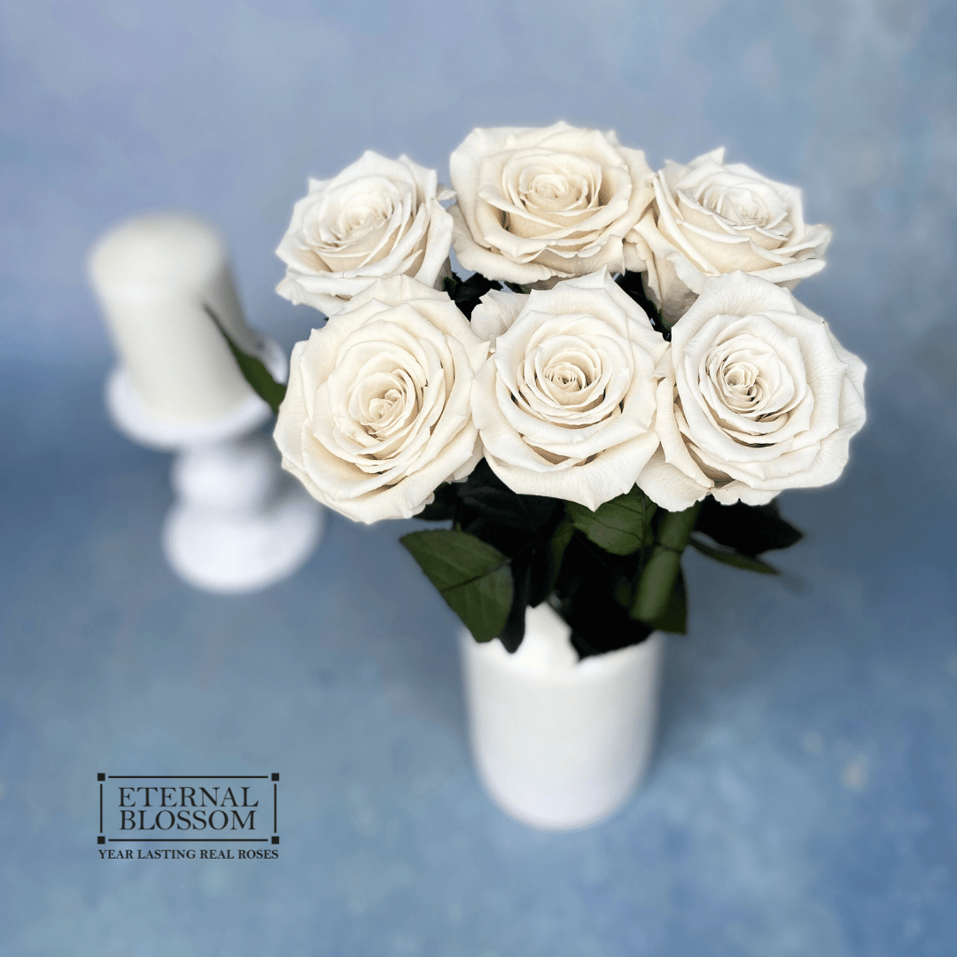 Enterail Roses Half a Dozen Long Stem Roses - Year Lasting Infinity Roses – Eternal ...