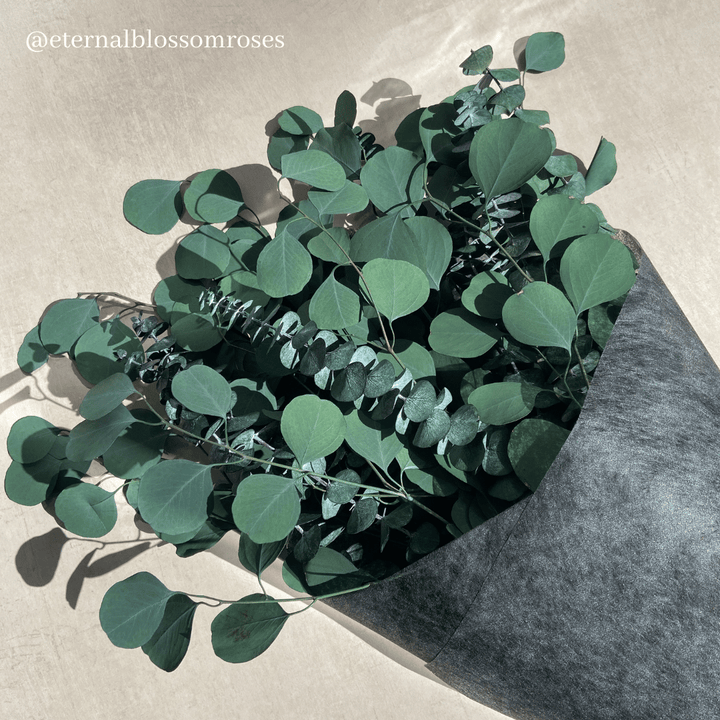 Preserved Eucalyptus Bunch - Year Lasting Real Foliage