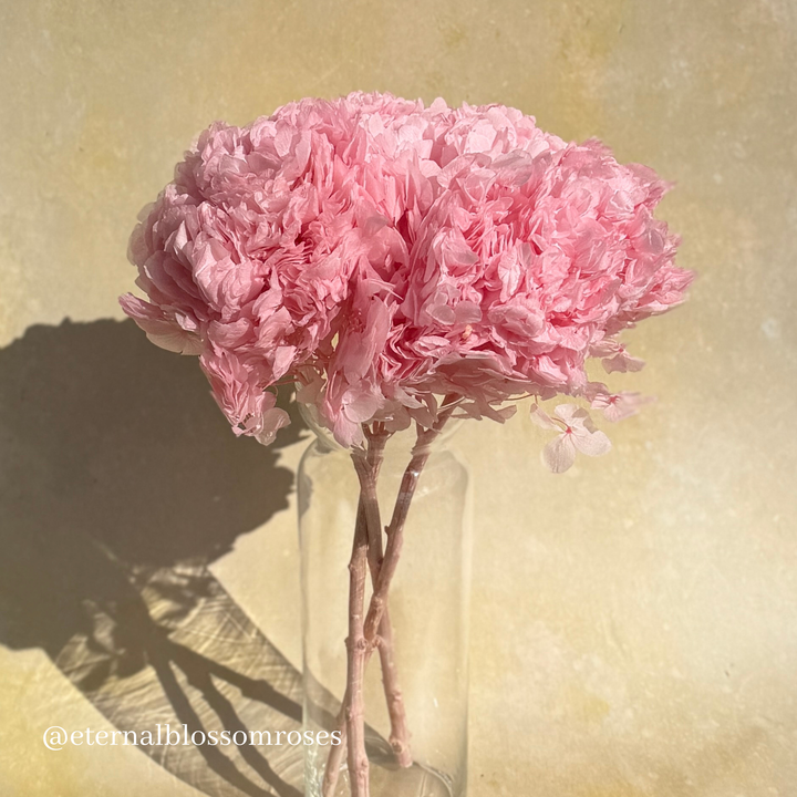 Eternal Blossom