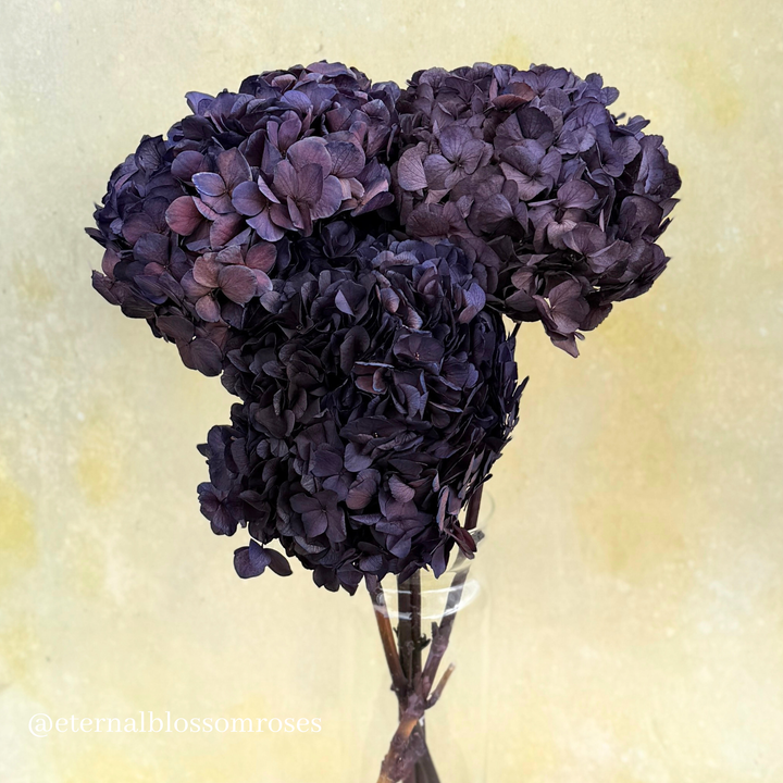 Eternal Blossom