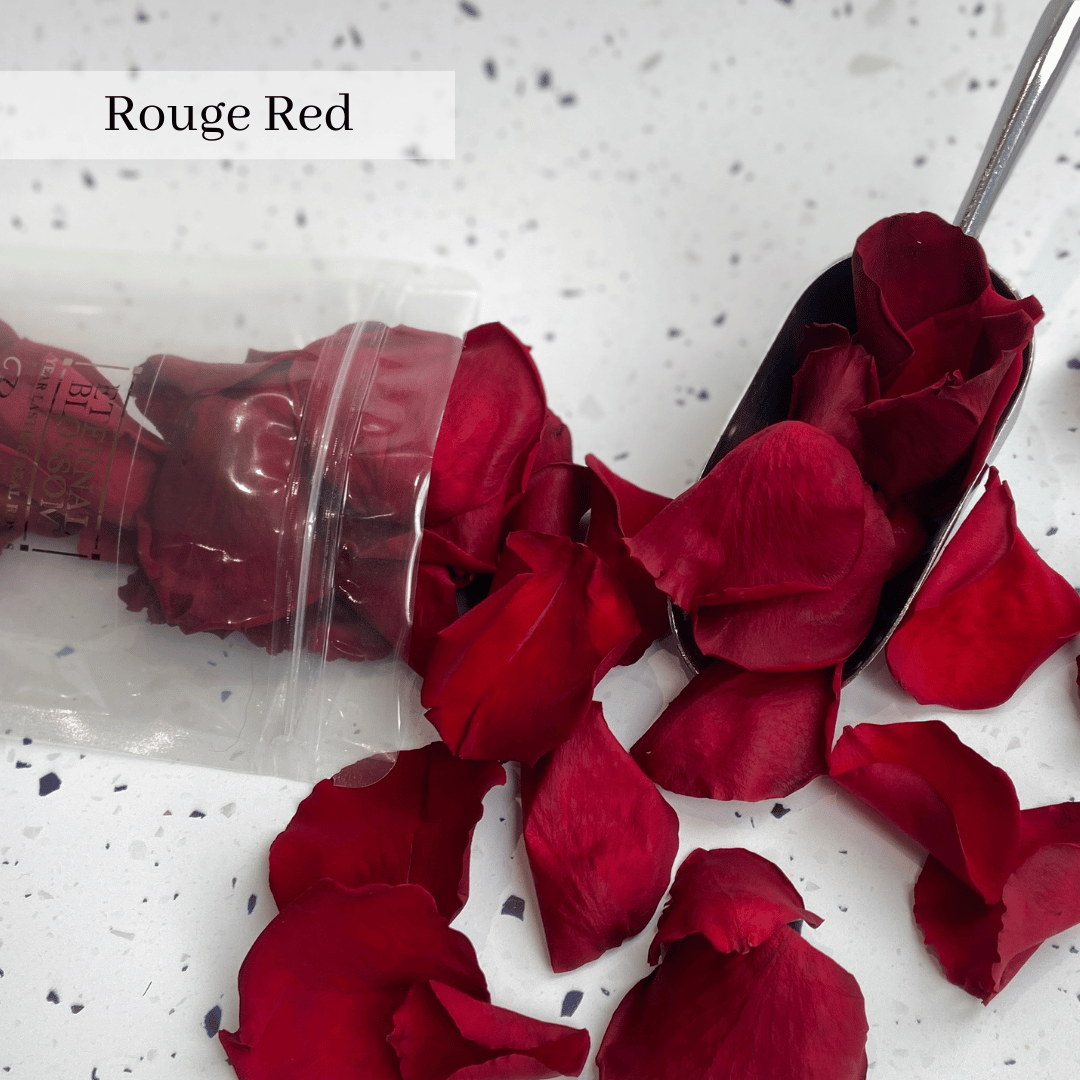 Eternal Blossom Rose Petals - Infinity Rose Petals