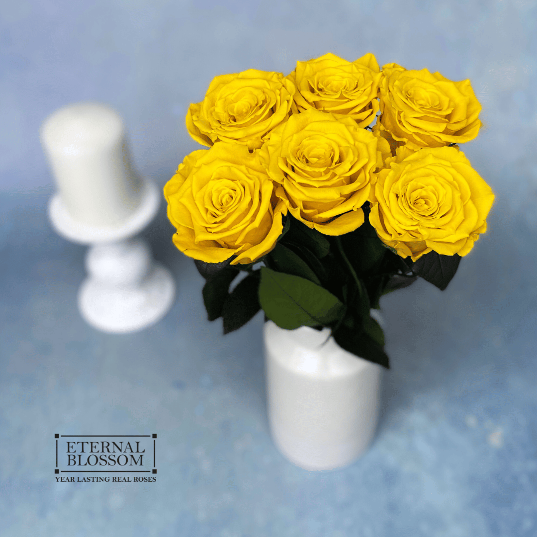 Long Life Roses Half a Dozen Long Stem Roses - Year Lasting Infinity Roses – Eternal ...