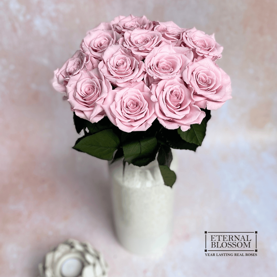 Eternal Blossom | Dozen Long Stem Roses | Year Lasting Infinity Roses