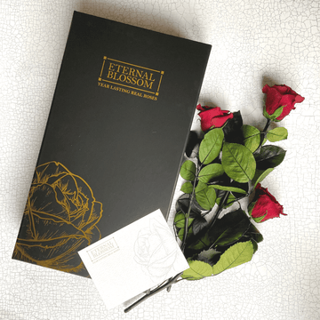 Ten Eternal Roses Eternal Roses - Year Lasting Preserved Infinity Roses – Eternal Blossom