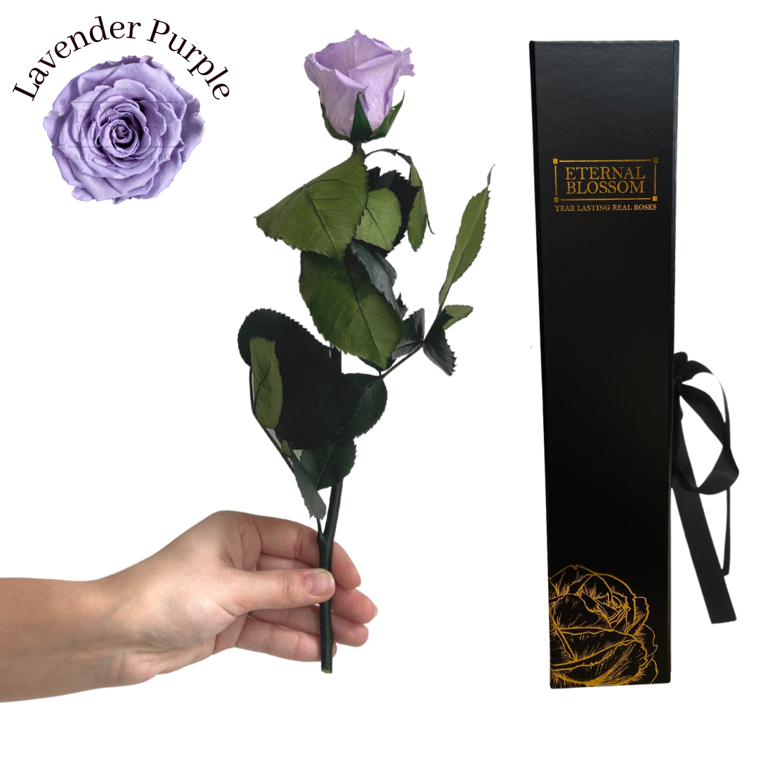Eternal Blossom | Individual Long Stem | Infinity Rose Year Lasting