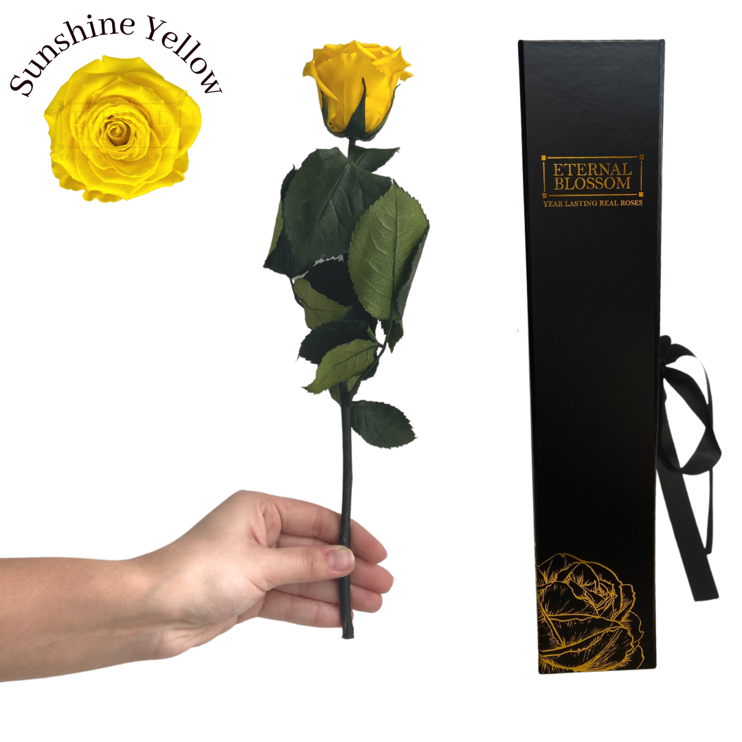 Eternal Blossom | Individual Long Stem | Infinity Rose Year Lasting