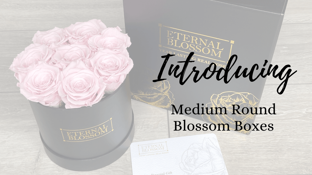 Medium Round Collection - Year Lasting Infinity Roses – Eternal Blossom