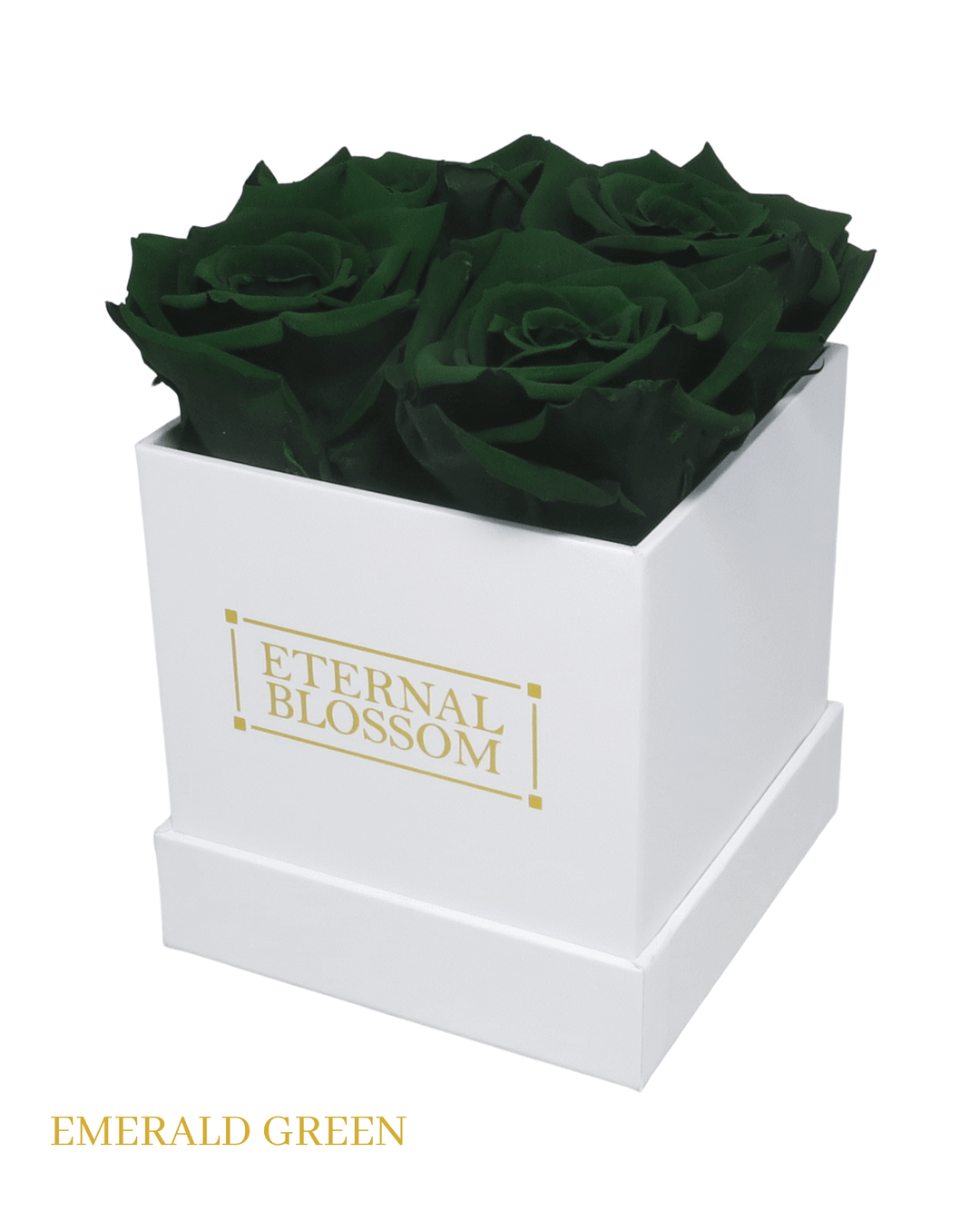 4 Piece Blossom Box - White Box - All Colours of Year Lasting Infinity Roses - Eternal Blossom