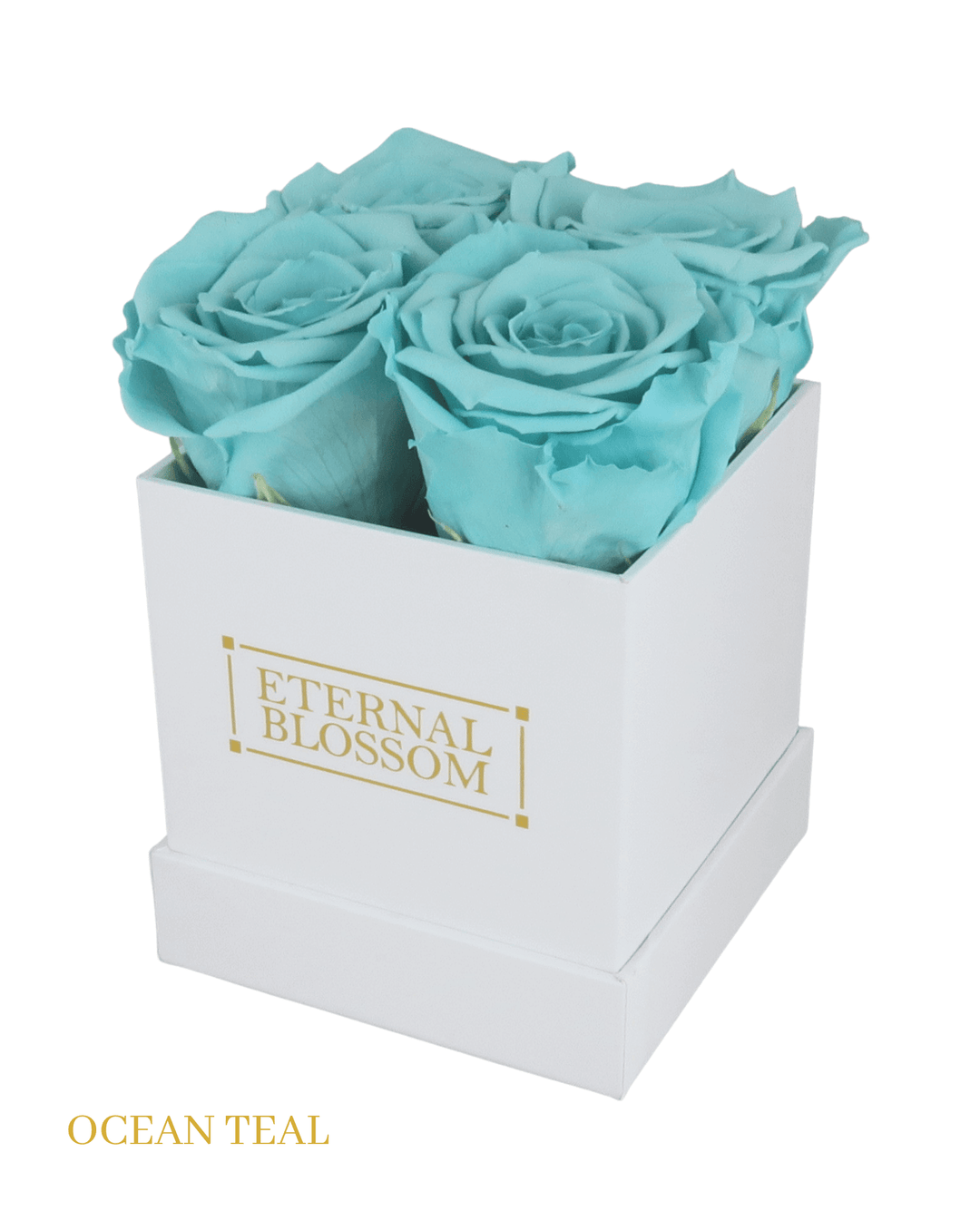 4 Piece Blossom Box - White Box - All Colours of Year Lasting Infinity Roses - Eternal Blossom