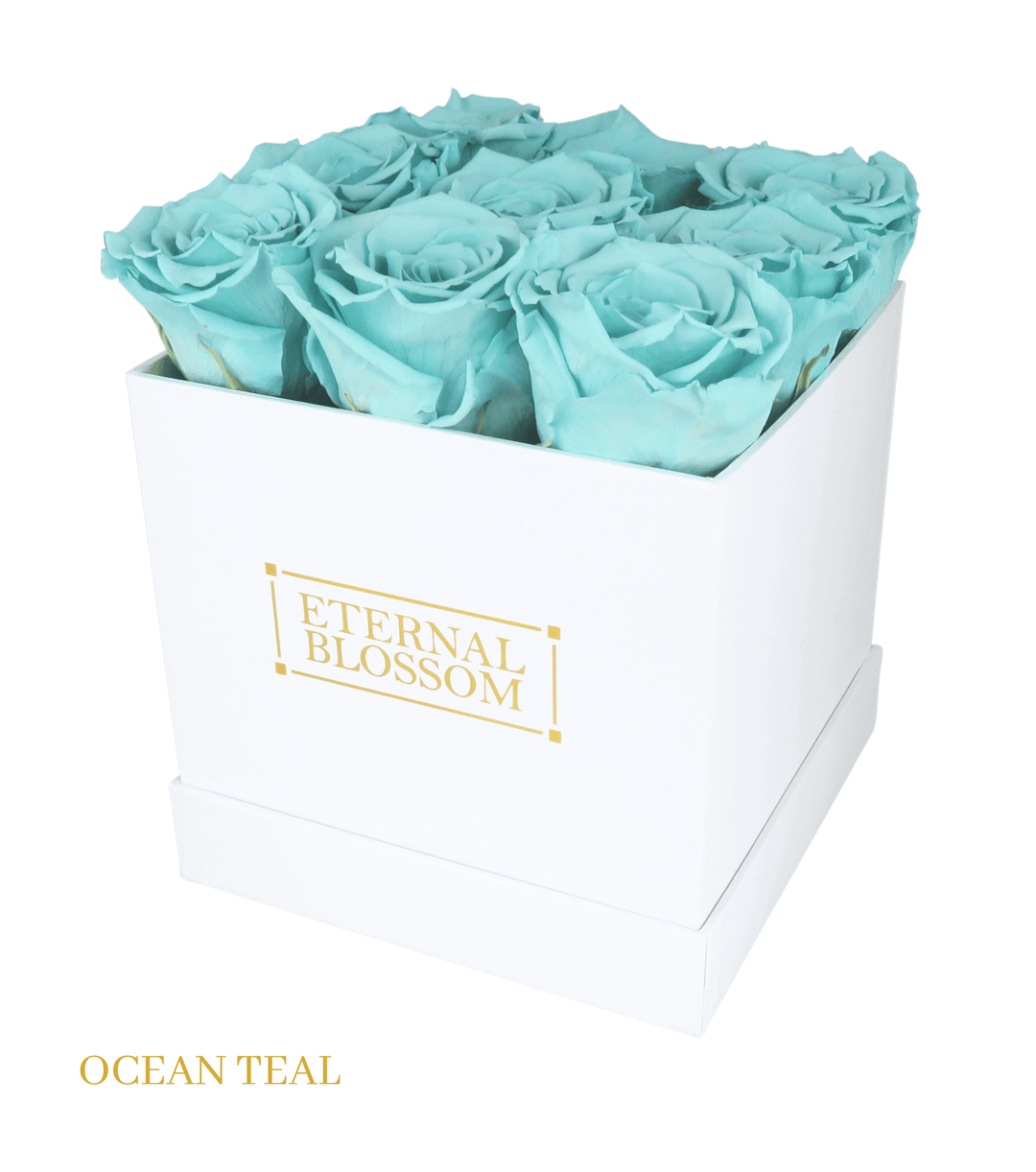 9 Piece Blossom Box - White Box - All Colours of Year Lasting Infinity Roses