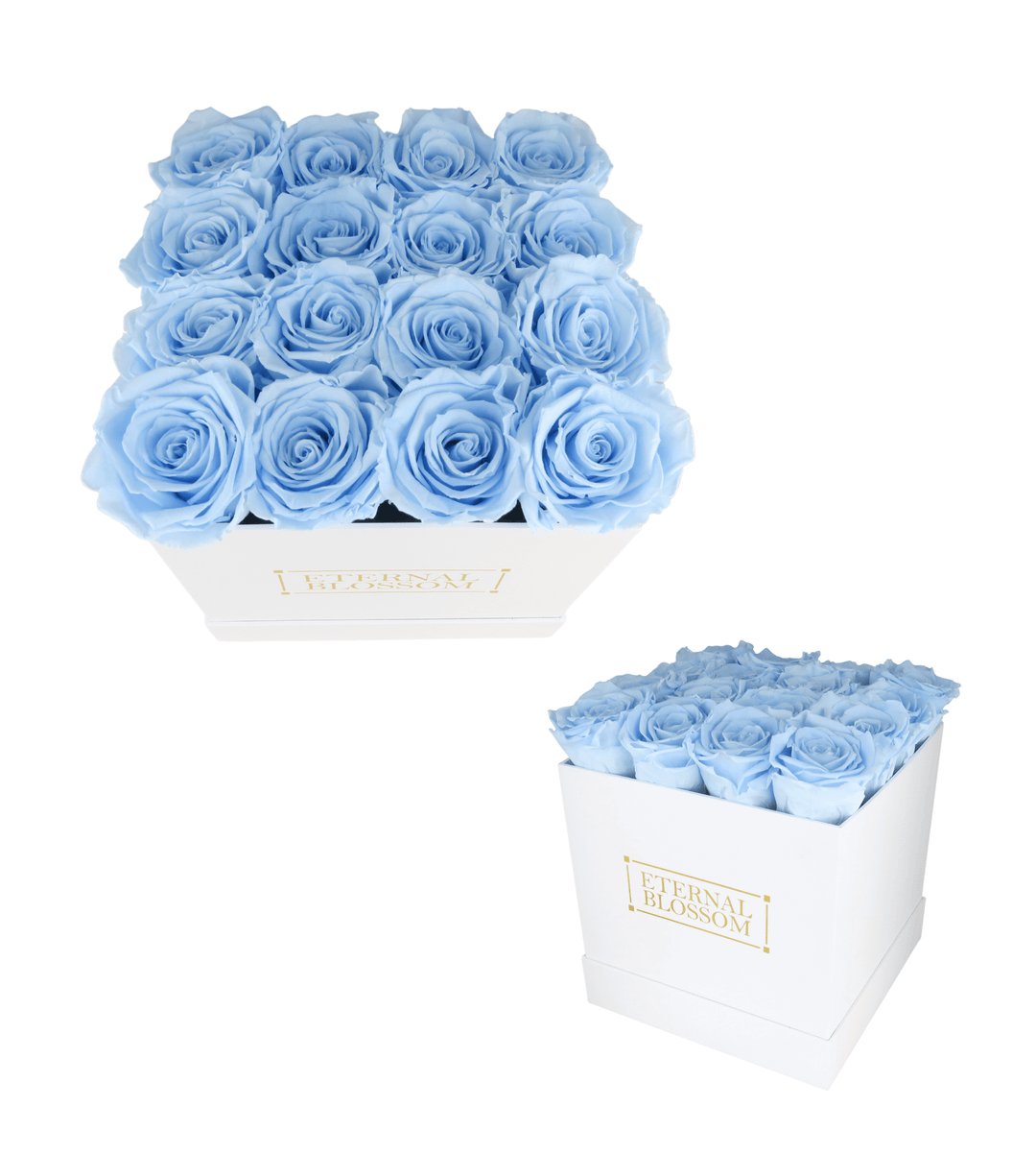 16 Piece Blossom Box - White Box - All Colours of Year Lasting Infinity Roses - Eternal Blossom