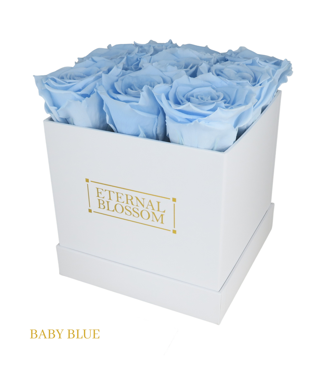 9 Piece Blossom Box - White Box - All Colours of Year Lasting Infinity Roses