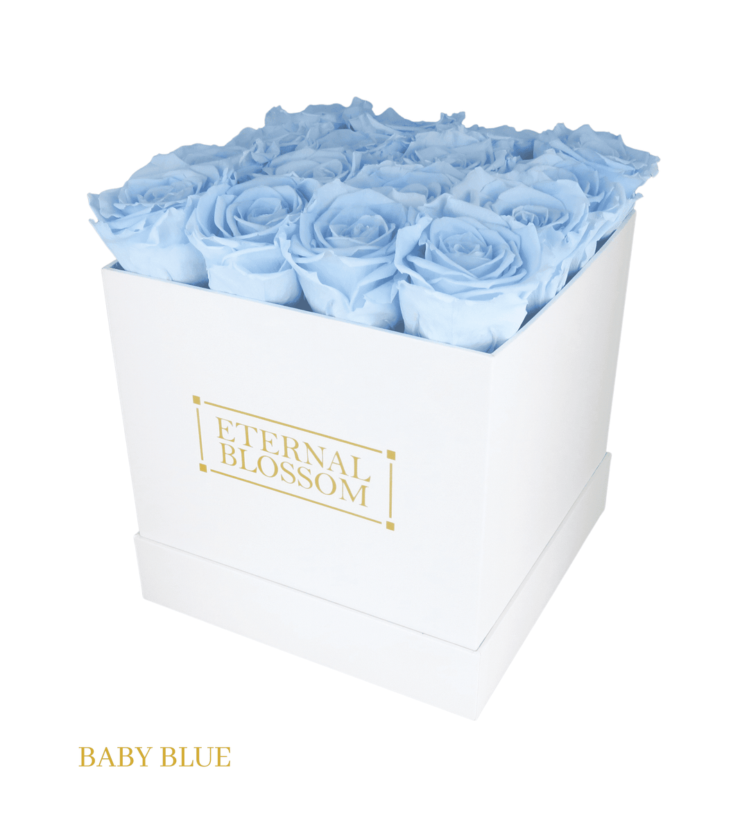 16 Piece Blossom Box - White Box - All Colours of Year Lasting Infinity Roses - Eternal Blossom