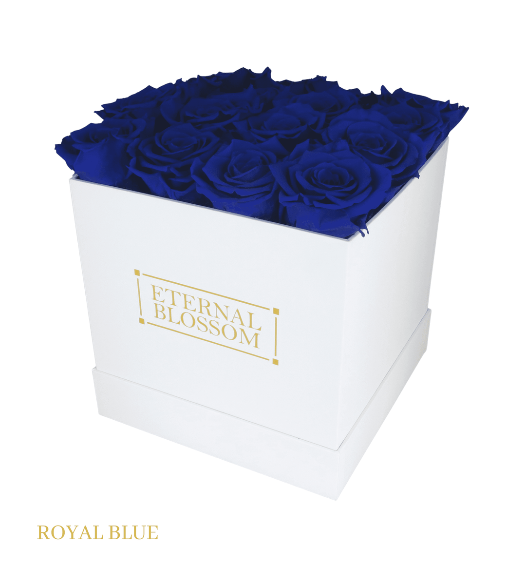 16 Piece Blossom Box - White Box - All Colours of Year Lasting Infinity Roses - Eternal Blossom