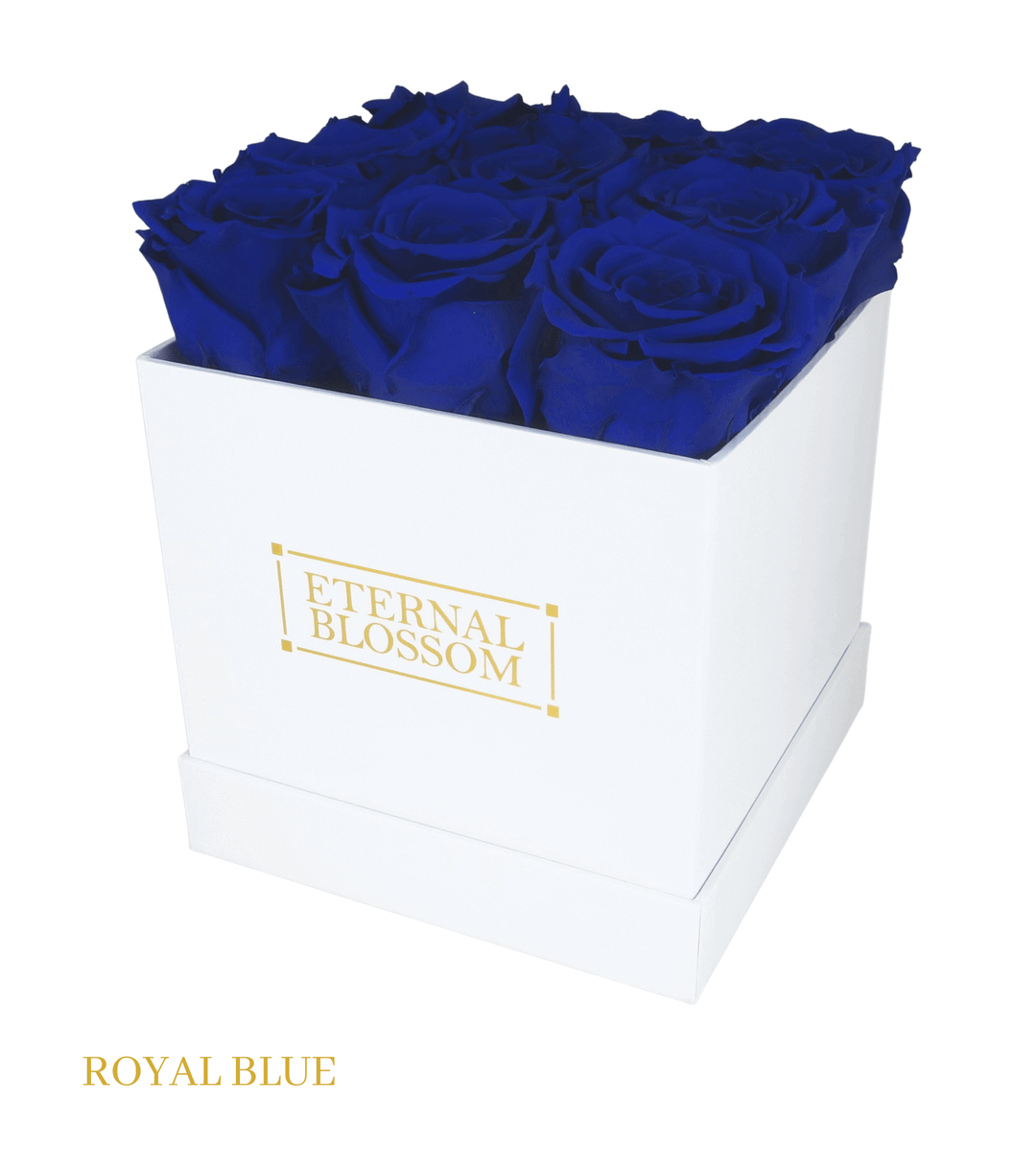 9 Piece Blossom Box - White Box - All Colours of Year Lasting Infinity Roses