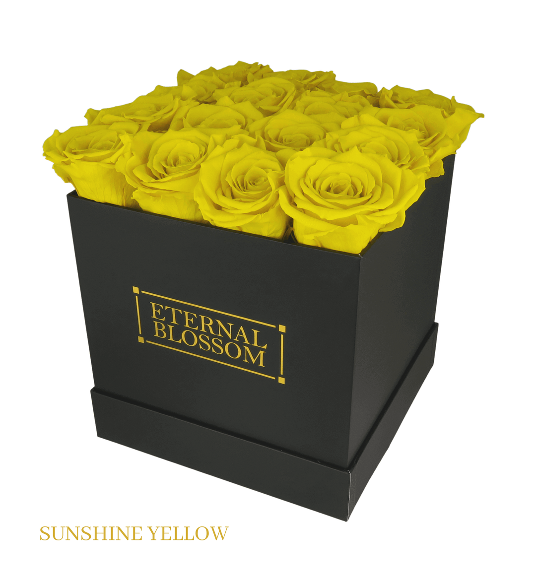 16 Piece Blossom Box - Black Box - All Colours of Year Lasting Infinity Roses - Eternal Blossom