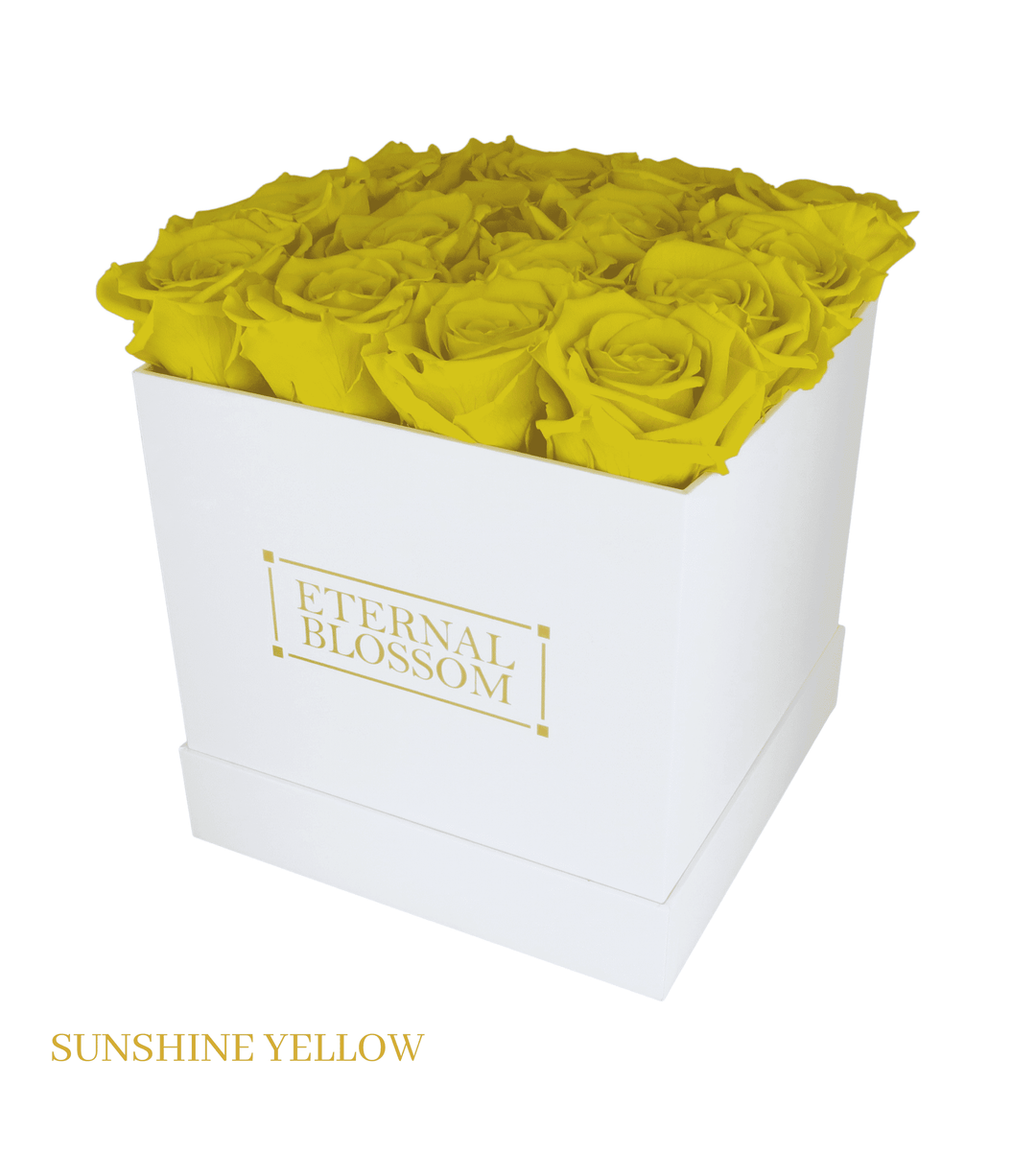 16 Piece Blossom Box - White Box - All Colours of Year Lasting Infinity Roses - Eternal Blossom