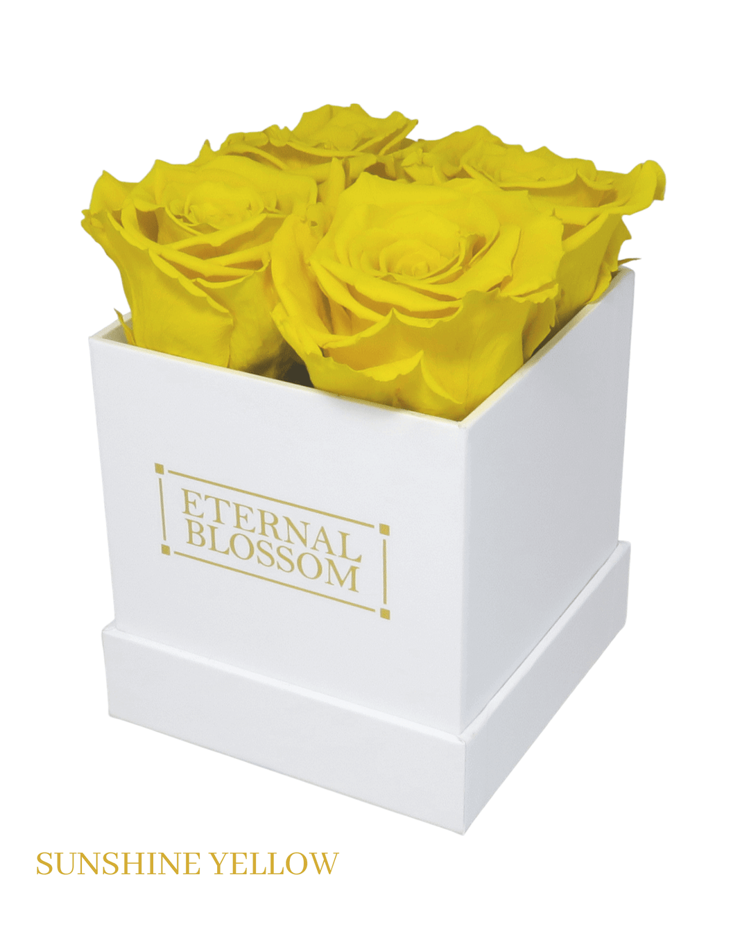 4 Piece Blossom Box - White Box - All Colours of Year Lasting Infinity Roses - Eternal Blossom