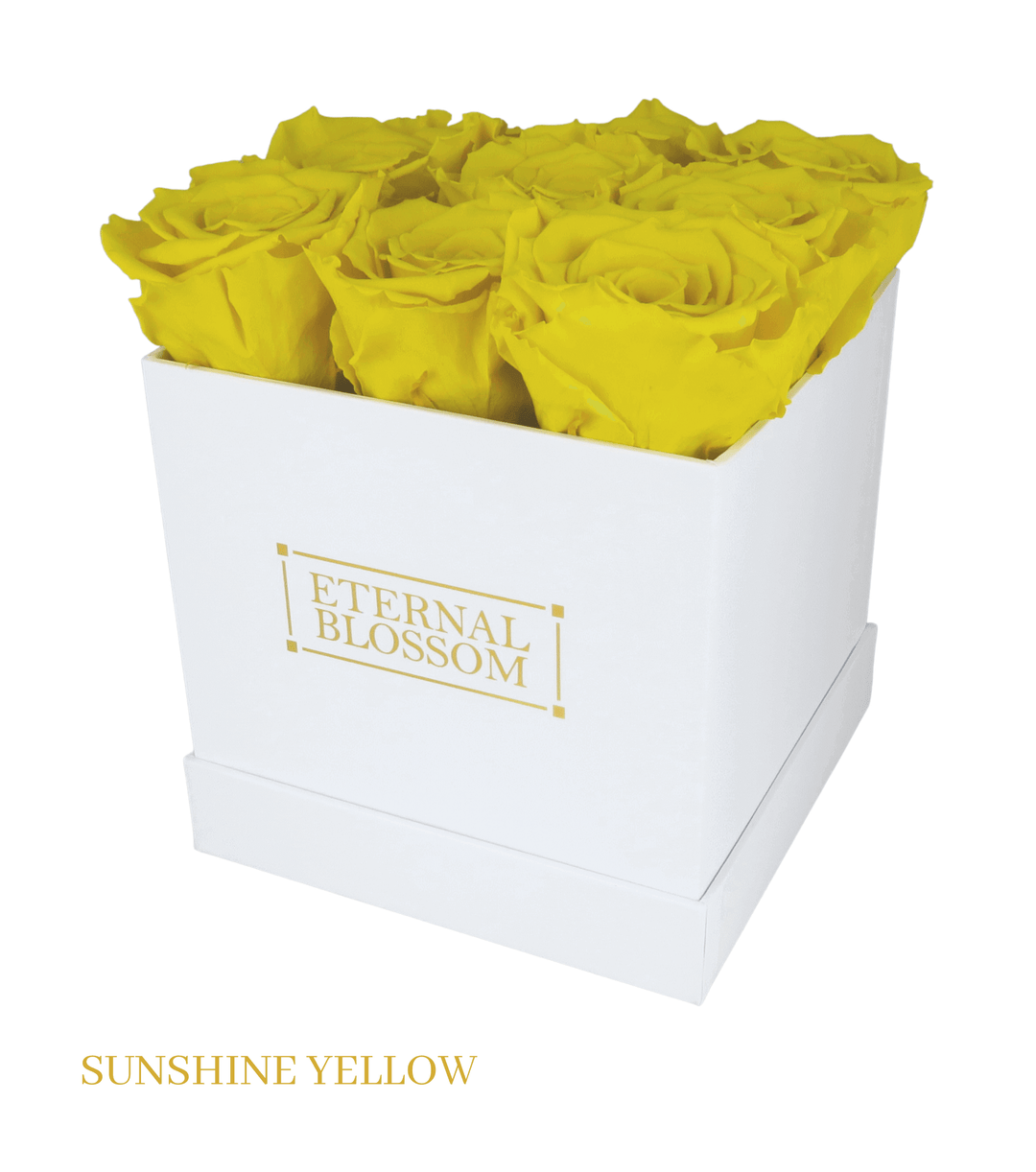 9 Piece Blossom Box - White Box - All Colours of Year Lasting Infinity Roses