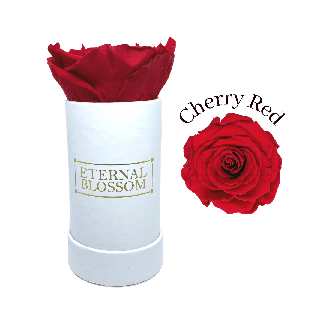 Eternal Blossom Individual Rose Box Infinity Roses Year Lasting