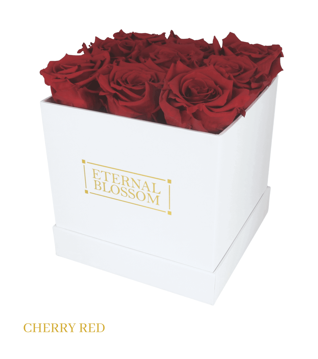 9 Piece Blossom Box - White Box - All Colours of Year Lasting Infinity Roses