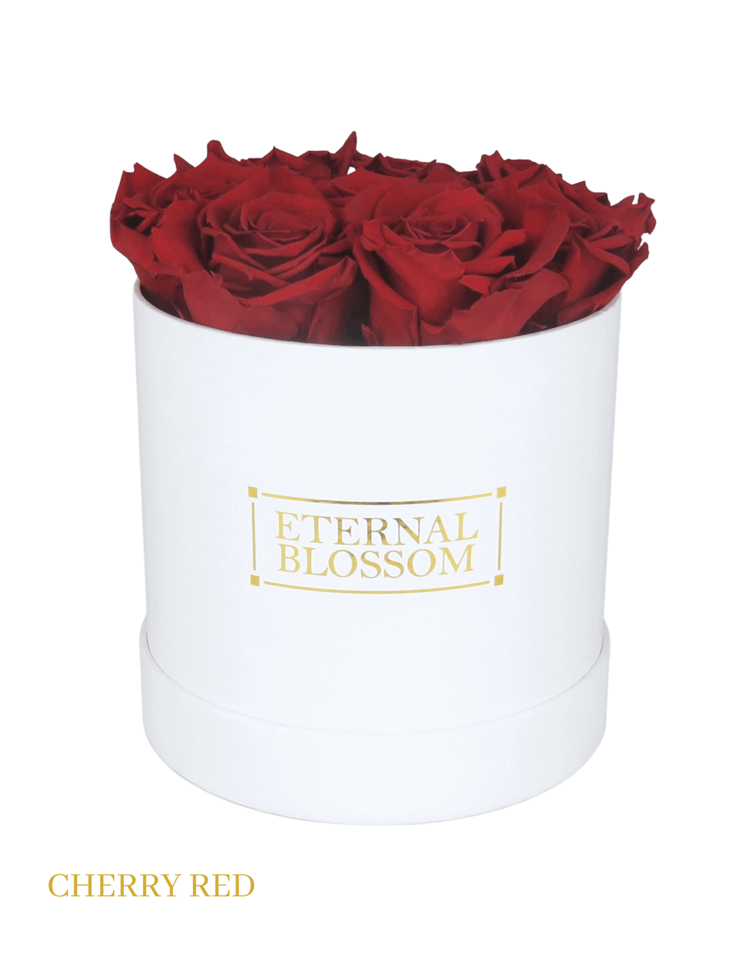 Medium Round Blossom Box - White Box - All Colours of Year Lasting Infinity Roses