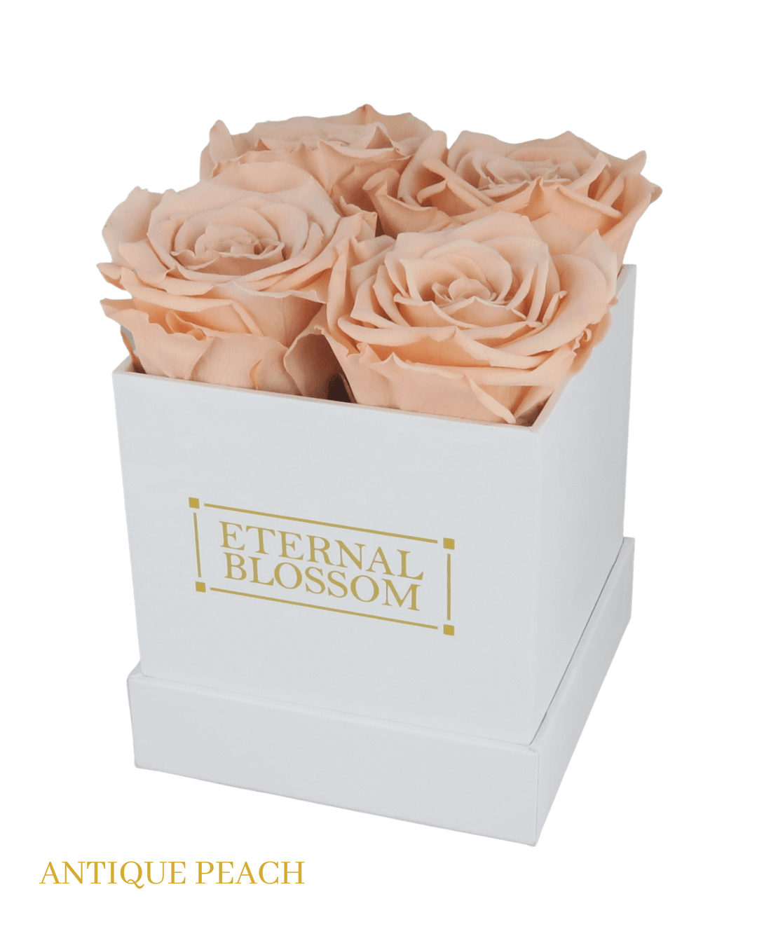 4 Piece Blossom Box - White Box - All Colours of Year Lasting Infinity Roses - Eternal Blossom