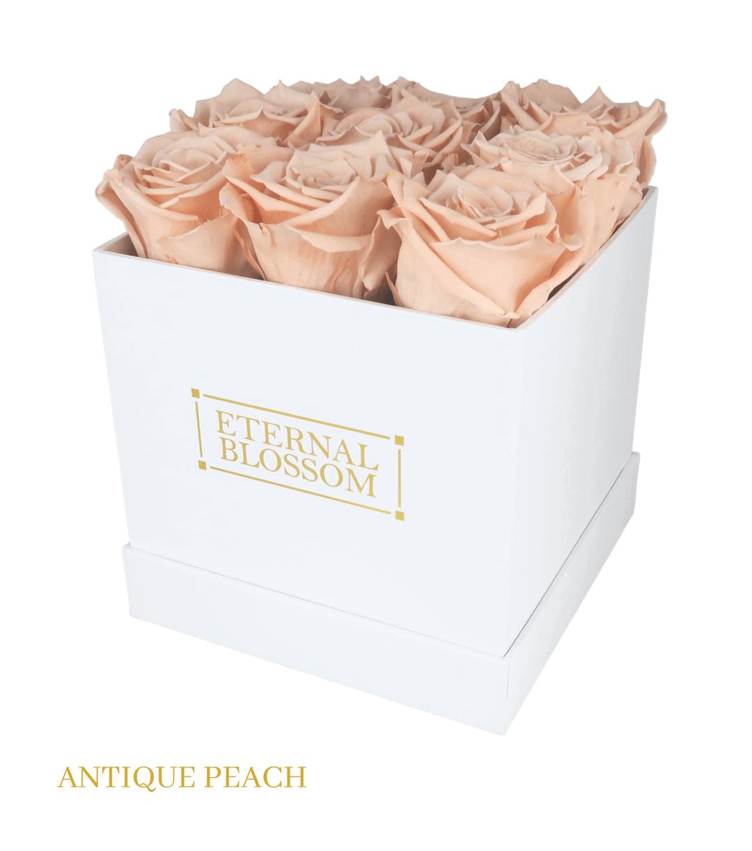 9 Piece Blossom Box - White Box - All Colours of Year Lasting Infinity Roses