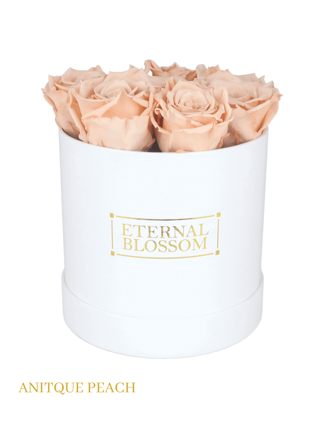 Medium Round Blossom Box - White Box - All Colours of Year Lasting Infinity Roses